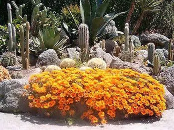 Semiramis De Charme & Pools Forio di Ischia